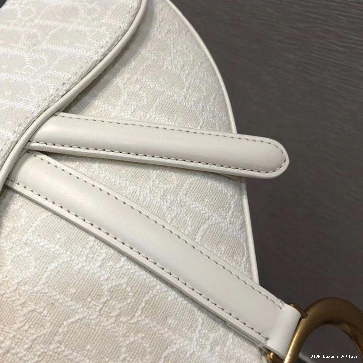 Cheap Oblique White Dior Bag Saddle Canvas Motif 0719 Luxury